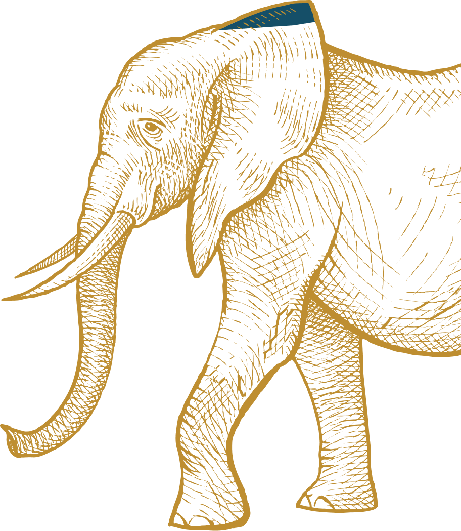 ElephantImg